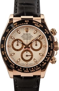 Rolex Everose Gold Daytona 116515LN