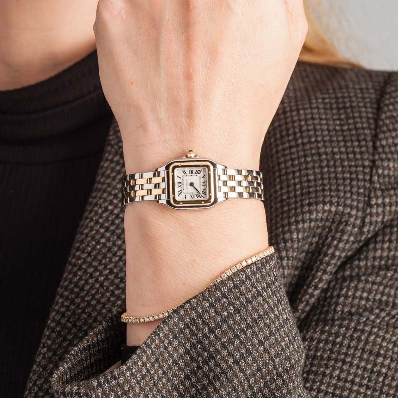 Panthere Small Model de Cartier Steel & Yellow Gold