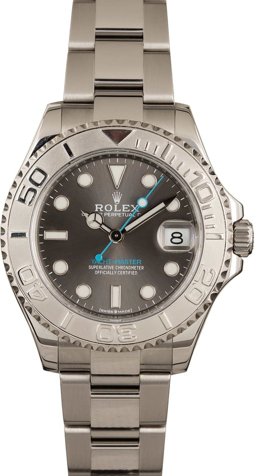 rolex yacht master grey