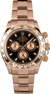 Rolex Daytona 116505 Everose Gold Chronograph