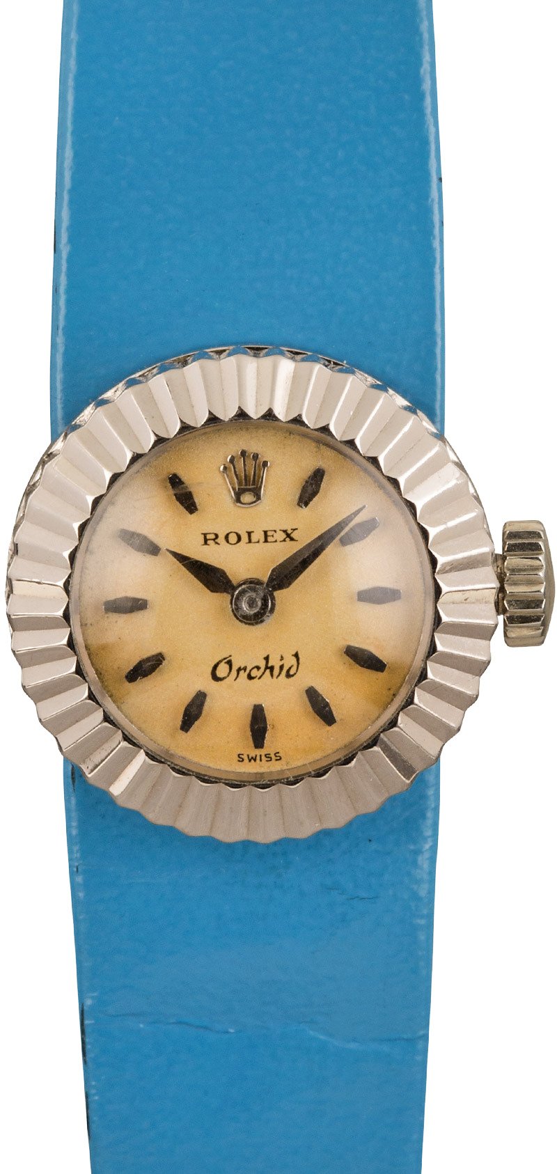 Rolex on sale orchid chameleon