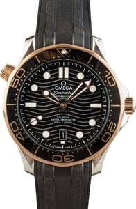 Omega Seamaster Ref 210.22.42.20.01.002