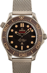 Omega Seamaster Stainless Steel 007 Edition