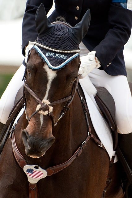 Rolex’s Connection to Equestrian Sports