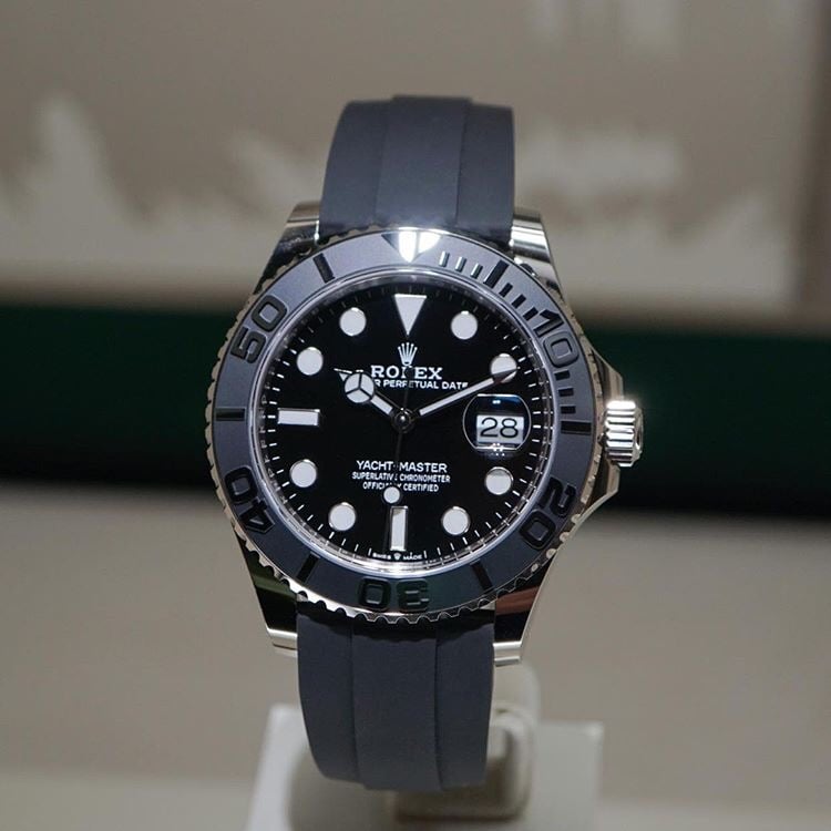 new rolex releases 2019