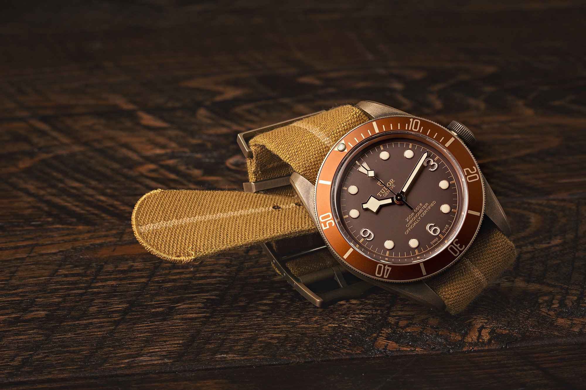 Tudor Black Bay Bronze