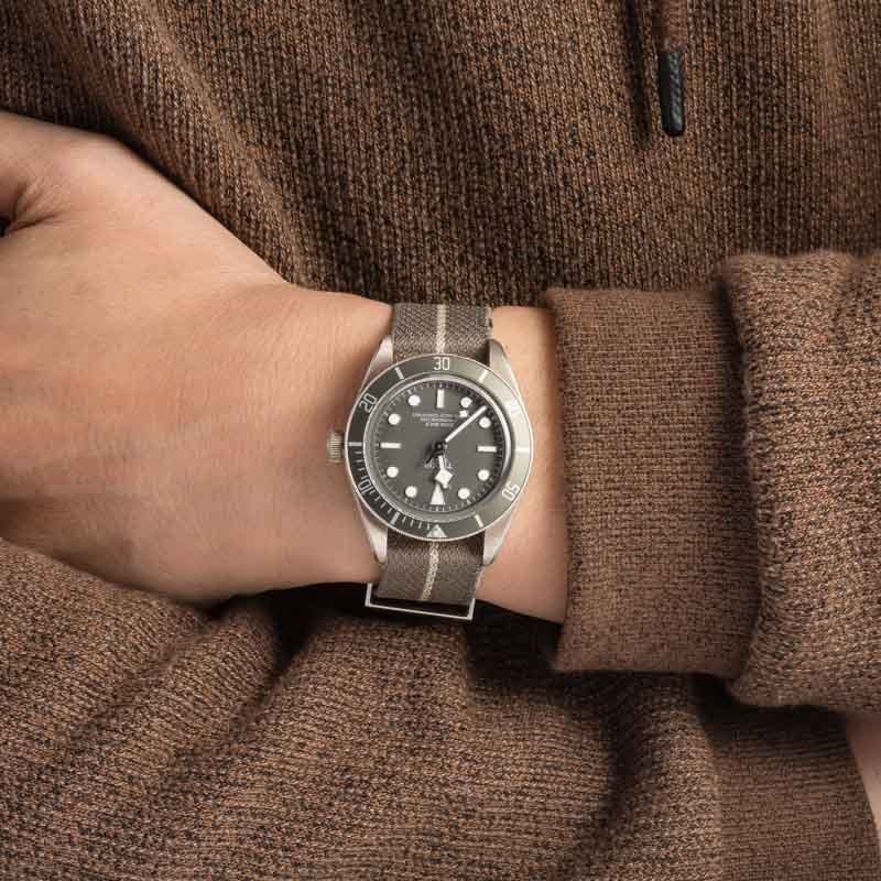 Tudor Black Bay 58 925 Ref 79010 Taupe Bezel & Dial