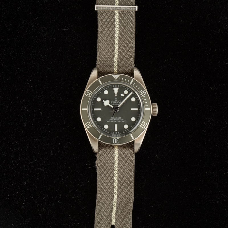 Tudor Black Bay 58 925 Ref 79010 Taupe Bezel & Dial