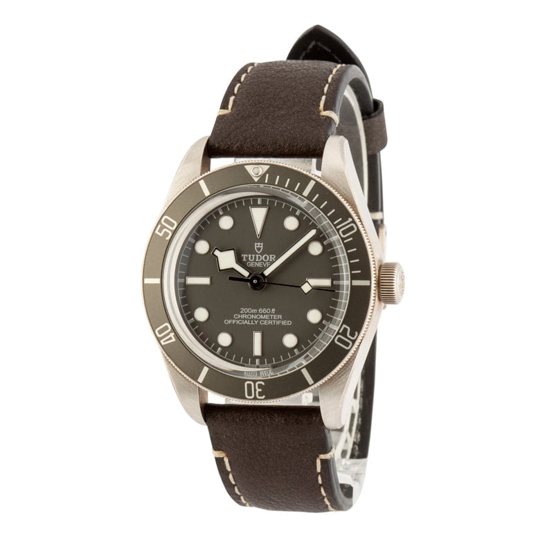 Tudor Black Bay 58 925 Ref 79010 Taupe Dial & Bezel