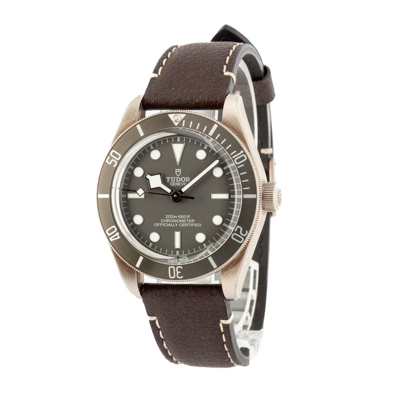 Tudor Black Bay 58 925 Ref 79010 Taupe Dial & Bezel