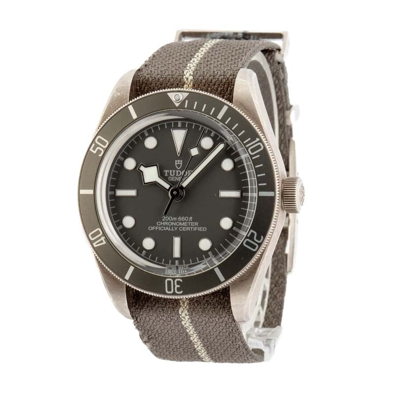 Tudor Black Bay 58 925 Ref 79010 Taupe Bezel & Dial