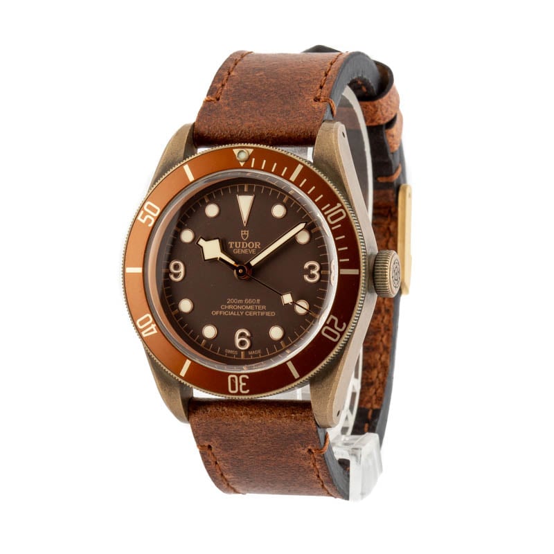 Tudor Heritage Black Bay 79250BM Brown Dial