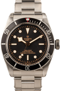 Tudor Black Bay