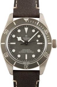 Tudor Black Bay 58 925 Ref 79010 Taupe Dial & Bezel