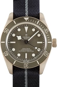 Pre-owned Tudor Black Bay 58 925 Ref 79010 Taupe Dial & Bezel