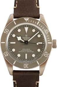 Tudor Black Bay 58 925 Ref 79010 Taupe Dial & Bezel