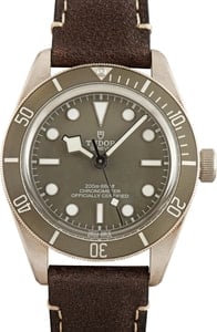 Tudor Black Bay 58 925 Ref 79010 Taupe Dial & Bezel