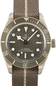 Pre-owned Tudor Black Bay 58 925 Ref 79010 Taupe Bezel & Dial