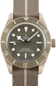 Tudor Black Bay 58 925 Ref 79010 Taupe Bezel & Dial