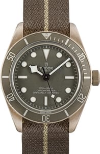 Pre-owned Tudor Black Bay 58 925 Ref 79010 Taupe Dial & Bezel