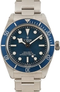 Tudor Black Bay 79030 Blue Dial and Bezel