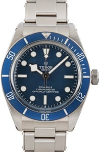 Tudor Heritage Black Bay 79030B Blue Dial