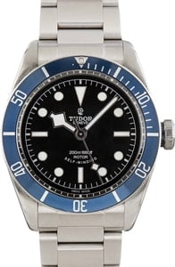 Tudor Heritage Black Bay 79220 Stainless Steel