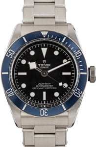 Tudor Black Bay 79230 Stainless Steel