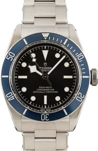 Tudor Black Bay 79230 Stainless Steel