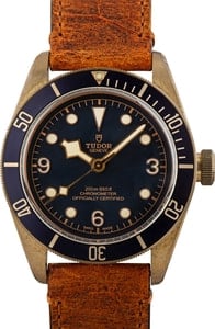 Tudor Heritage Black Bay Bronze 79250 Leather Strap