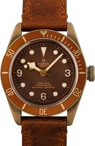 Tudor Heritage Black Bay 79250BM Brown Dial