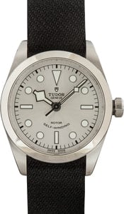 Tudor Heritage Black Bay 79500 Silver Dial