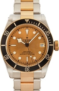 Tudor Black Bay 79733N Two Tone Black Dial